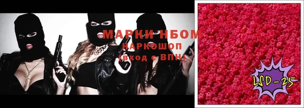 индика Богородск