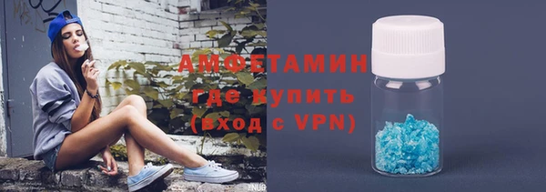 индика Богородск