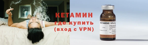 индика Богородск