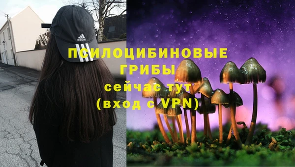 ALPHA-PVP Богданович