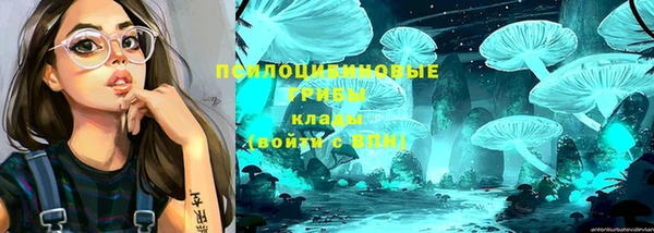 индика Богородск