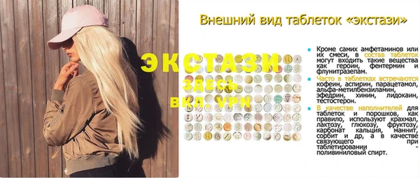индика Богородск