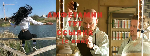 индика Богородск