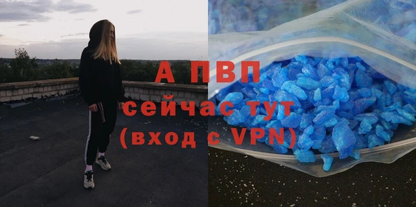 индика Богородск