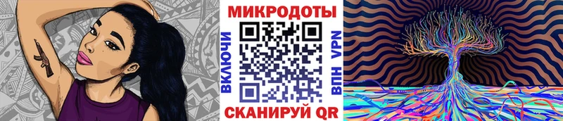 Галлюциногенные грибы Cubensis Чекалин